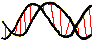 Gene: als Doppelhelix - eine spiralförmig verdrehte Leiter